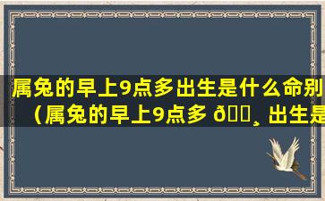 属兔的早上9点多出生是什么命别（属兔的早上9点多 🕸 出生是什么命别婚姻）